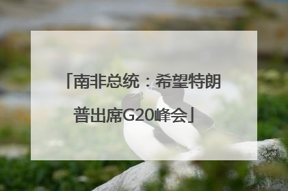 南非总统：希望特朗普出席G20峰会