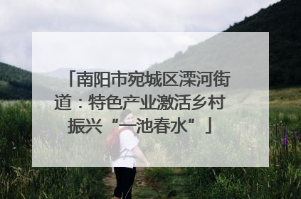 南阳市宛城区溧河街道：特色产业激活乡村振兴“一池春水”