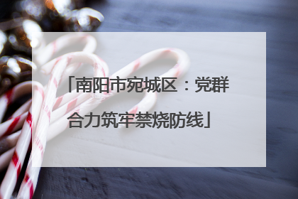 南阳市宛城区：党群合力筑牢禁烧防线
