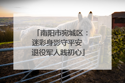 南阳市宛城区：迷彩身影守平安 退役军人践初心