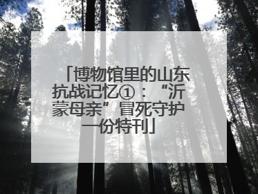 博物馆里的山东抗战记忆①：“沂蒙母亲”冒死守护一份特刊