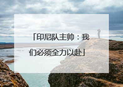 印尼队主帅：我们必须全力以赴
