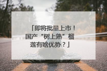 即将批量上市！国产“树上熟”榴莲有啥优势？
