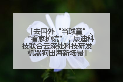 去国外“当球童”、“看家护院”，康迪科技联合云深处科技研发机器狗出海新场景