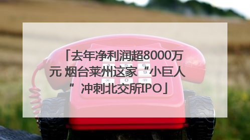 去年净利润超8000万元 烟台莱州这家“小巨人”冲刺北交所IPO