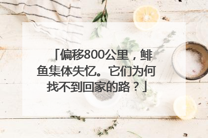 偏移800公里，鲱鱼集体失忆。它们为何找不到回家的路？