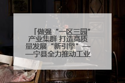 做强“一区三园”产业集群 打造高质量发展“新引擎”——宁县全力推动工业经济提质增效