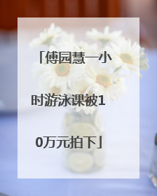 傅园慧一小时游泳课被10万元拍下