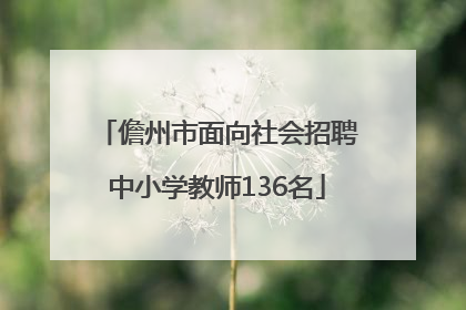 儋州市面向社会招聘中小学教师136名