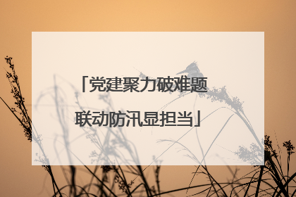 党建聚力破难题 联动防汛显担当