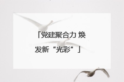 党建聚合力 焕发新“光彩”
