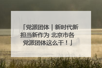党派团体｜新时代新担当新作为 北京市各党派团体这么干！