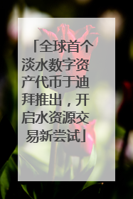 全球首个淡水数字资产代币于迪拜推出，开启水资源交易新尝试