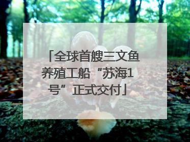 全球首艘三文鱼养殖工船“苏海1号”正式交付