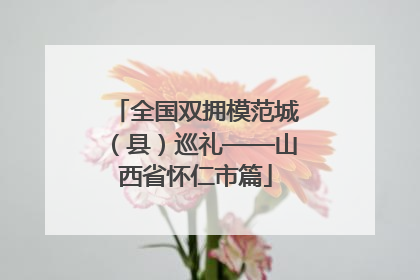 全国双拥模范城（县）巡礼——山西省怀仁市篇