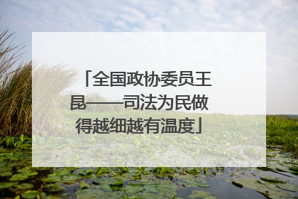 全国政协委员王昆——司法为民做得越细越有温度