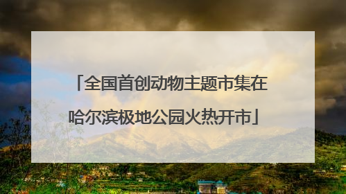 全国首创动物主题市集在哈尔滨极地公园火热开市