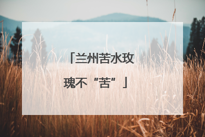 兰州苦水玫瑰不“苦”