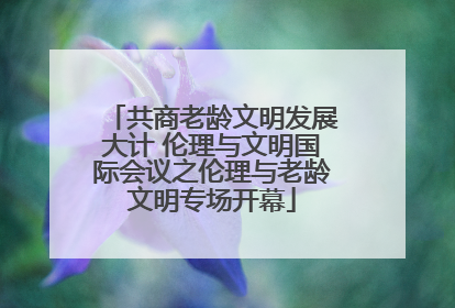 共商老龄文明发展大计 伦理与文明国际会议之伦理与老龄文明专场开幕