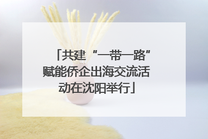 共建“一带一路”赋能侨企出海交流活动在沈阳举行