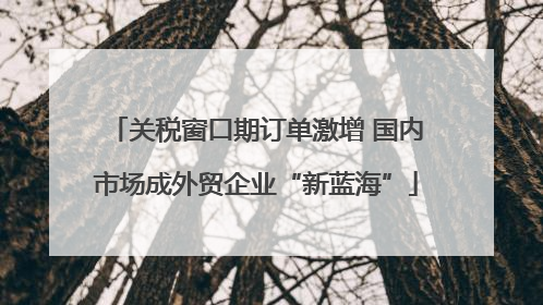 关税窗口期订单激增 国内市场成外贸企业“新蓝海”