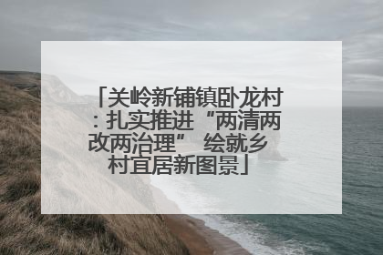 关岭新铺镇卧龙村：扎实推进“两清两改两治理” 绘就乡村宜居新图景