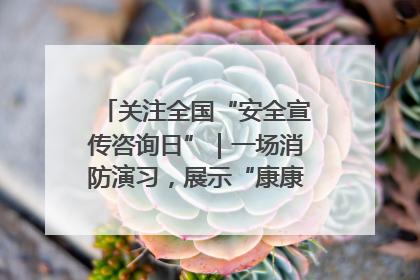 关注全国“安全宣传咨询日”｜一场消防演习，展示“康康”应急实力