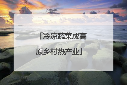 冷凉蔬菜成高原乡村热产业