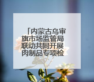 内蒙古乌审旗市场监管局联动共同开展肉制品专项检查
