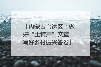 内蒙古乌达区：做好“土特产”文章 写好乡村振兴答卷