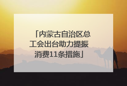内蒙古自治区总工会出台助力提振消费11条措施