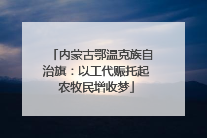 内蒙古鄂温克族自治旗：以工代赈托起农牧民增收梦