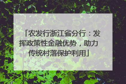 农发行浙江省分行：发挥政策性金融优势，助力传统村落保护利用