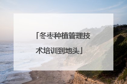 冬枣种植管理技术培训到地头