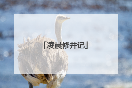 凌晨修井记