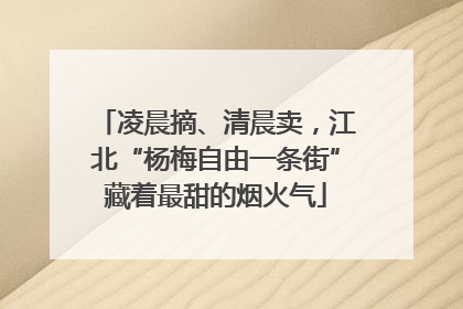凌晨摘、清晨卖，江北“杨梅自由一条街”藏着最甜的烟火气