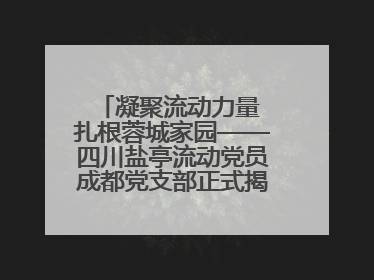 凝聚流动力量 扎根蓉城家园——四川盐亭流动党员成都党支部正式揭牌成立