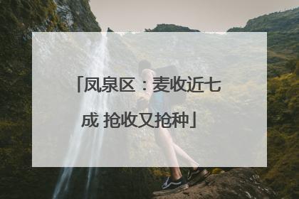 凤泉区：麦收近七成 抢收又抢种