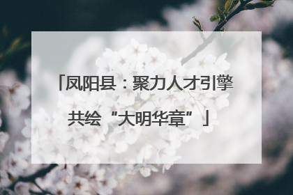 凤阳县：聚力人才引擎 共绘“大明华章”