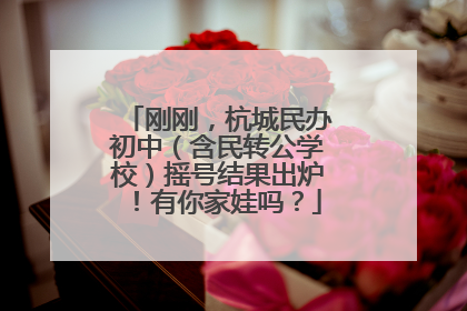 刚刚，杭城民办初中（含民转公学校）摇号结果出炉！有你家娃吗？