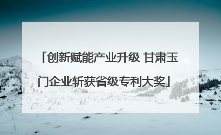 创新赋能产业升级 甘肃玉门企业斩获省级专利大奖
