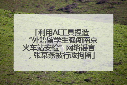 利用AI工具捏造 “外籍留学生强闯南京火车站安检”网络谣言，张某燕被行政拘留