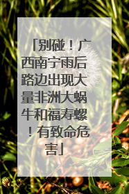 别碰！广西南宁雨后路边出现大量非洲大蜗牛和福寿螺！有致命危害