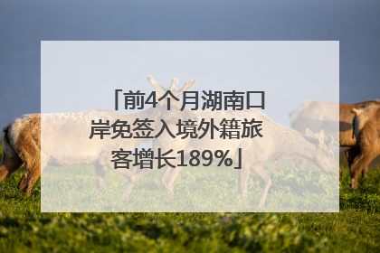 前4个月湖南口岸免签入境外籍旅客增长189%