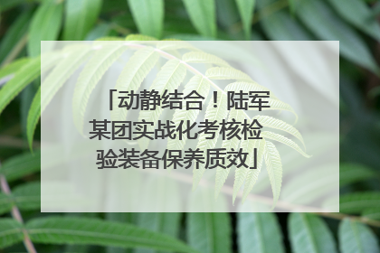 动静结合！陆军某团实战化考核检验装备保养质效