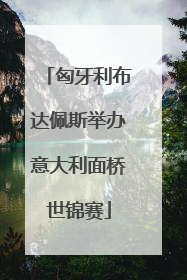 匈牙利布达佩斯举办意大利面桥世锦赛