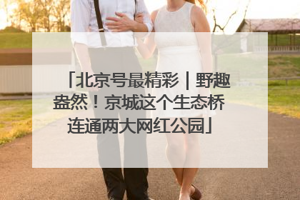 北京号最精彩｜野趣盎然！京城这个生态桥连通两大网红公园