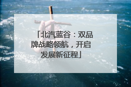 北汽蓝谷：双品牌战略领航，开启发展新征程