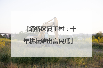 埇桥区夏王村：十年耕耘结出富民瓜