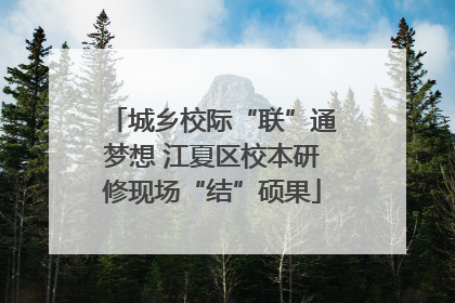 城乡校际“联”通梦想 江夏区校本研修现场“结”硕果